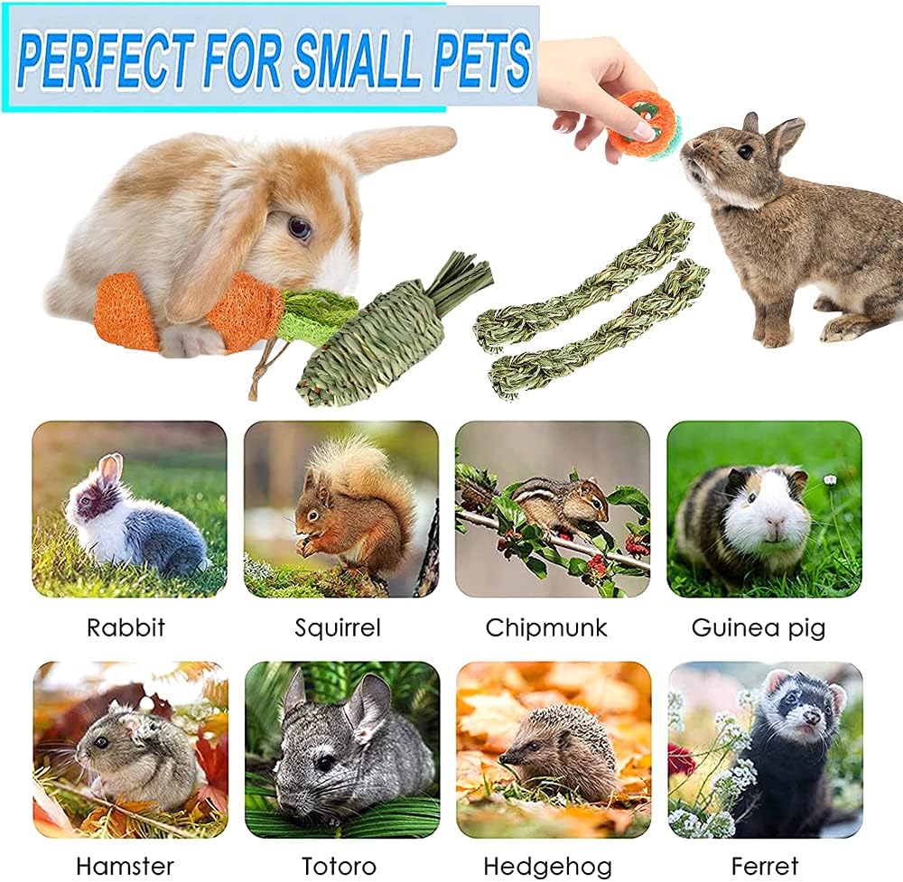16 PCS Rabbit Toys, Hamster Toy for Molar, Loofah String Carrot Toys for Dental Health, Promote Digestion, for Best Hamster Toys Gifts