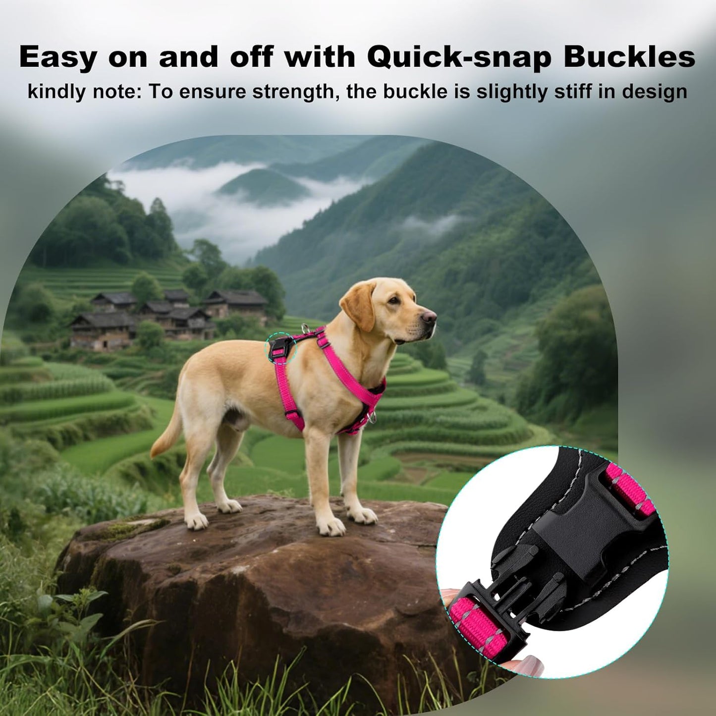 Plutus Pet Adjustable No Pull Dog Harness with Leather Accents, Heavy Duty Reflective Nylon Vest for Training, Hiking, Easy Walk Harness for Small, Medium, Large Dogs (Hot Pink, XL)