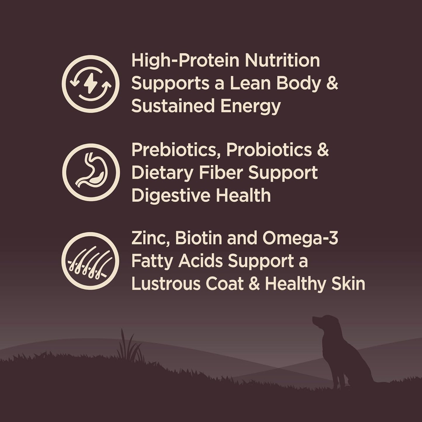 Wellness CORE Dry Dog Food, Grain Free, High Protein, Natural, Lamb Recipe, (4-Pound Bag)