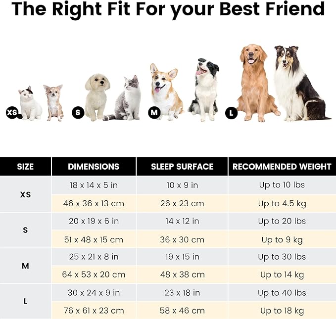 Miguel Washable Cat Bed for Indoor Cats With Removable Cushion, Easy to Wash Small Pet Sofa With Side, Rectangle Bolster Kitten Calming Cuddle Puppy Bed, Anti-Slip Bottom, Brown 20 Inch