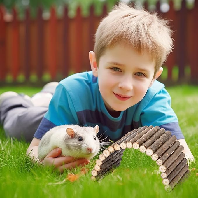 Sofier Hamster Toys 2 Pack Hamster Bridges Natural Wooden Hideout Tunnel Ladder Hamster Cage Accessories Chew Toys for Guinea Pig Rat Chinchilla¡