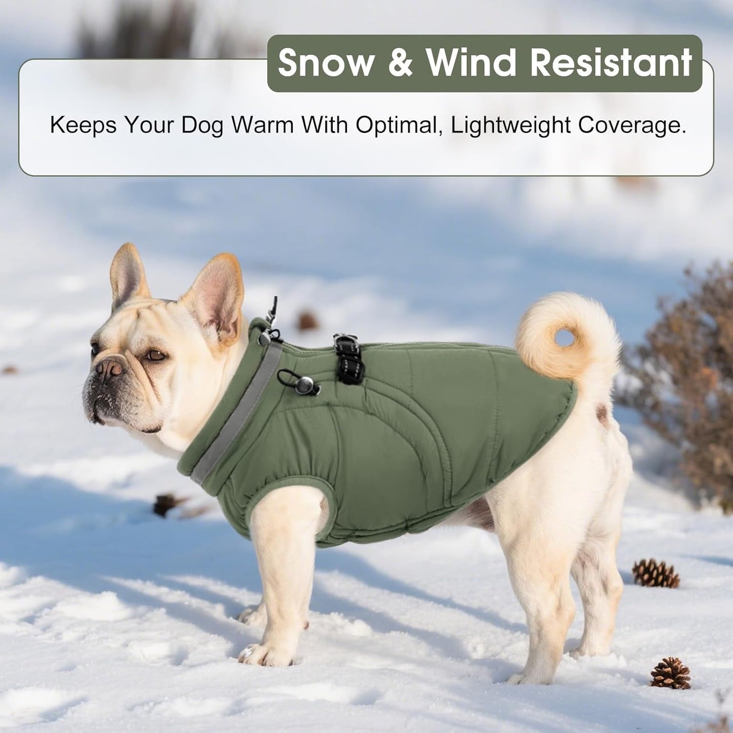 SAWMONG Dog Coat, Warm Dog Winter Coat, Waterproof Fleece Jacket, Cold Weather Dogs Jacket (XL,Green)