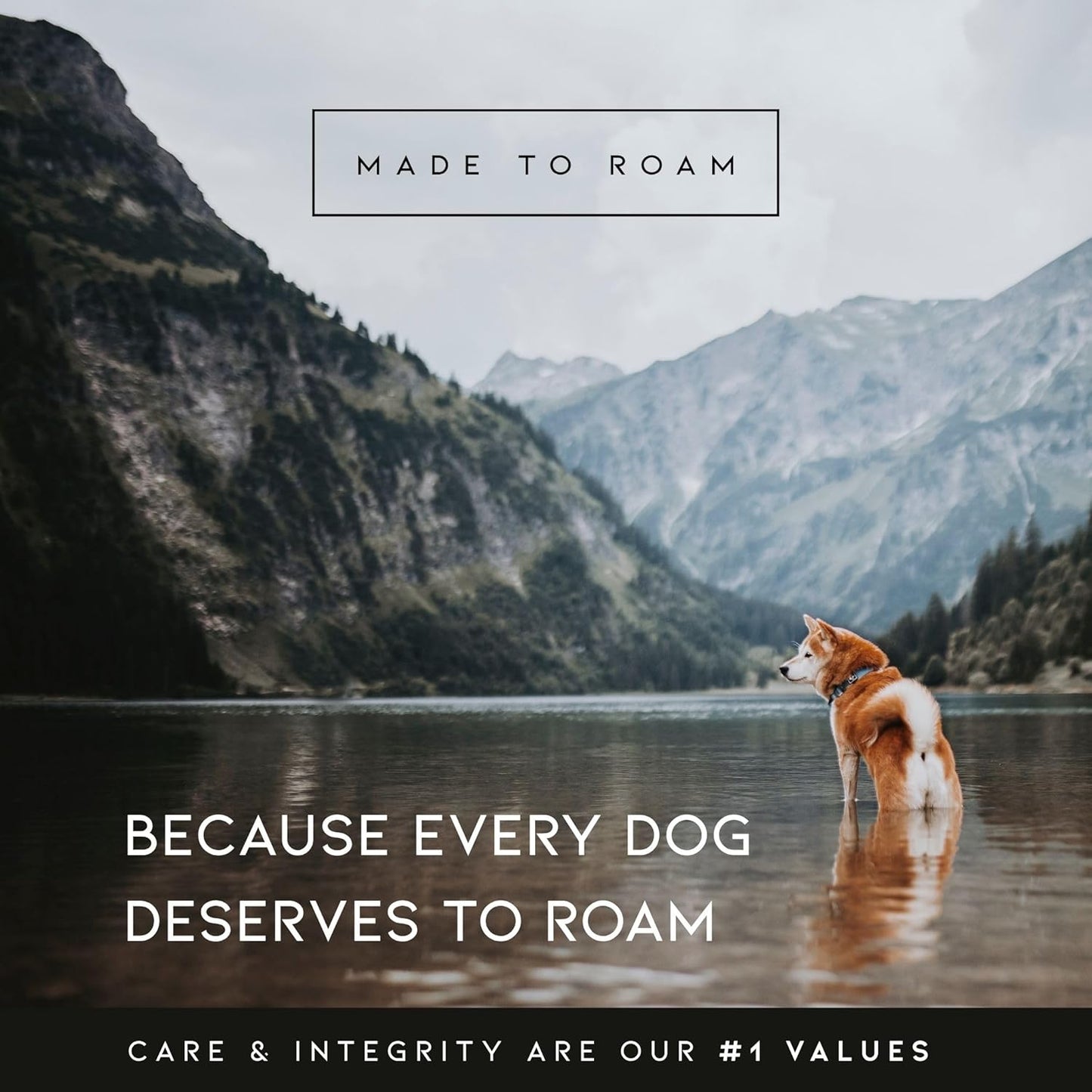 MADE TO ROAM Premium Explorer Harness - Y-Shaped Dog Harness with Adjustable Durable Nylon, Soft Padding, Metal Buckles and Leather Handle for Small, Medium, Large Dogs (Montana Moonrise, Size 6)