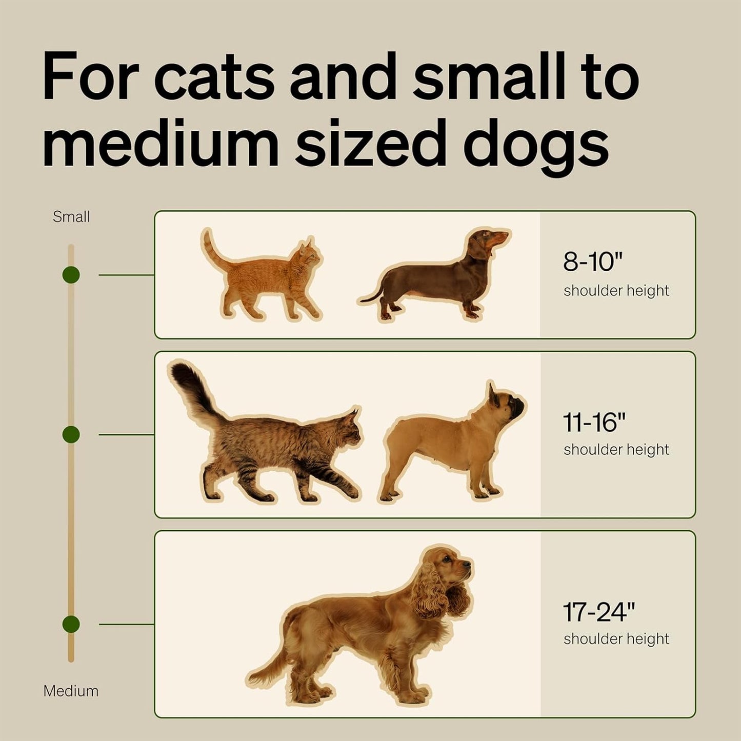 Bundle of PETLIBRO Automatic Cat Feeder with Camera, 1080P HD Video with Night Vision + PETLIBRO Slow Feeder Bowl for Small Dogs & Cats, 1.125 Cup— Anti-Gulp Stainless Steel Dog & Cat Bowl