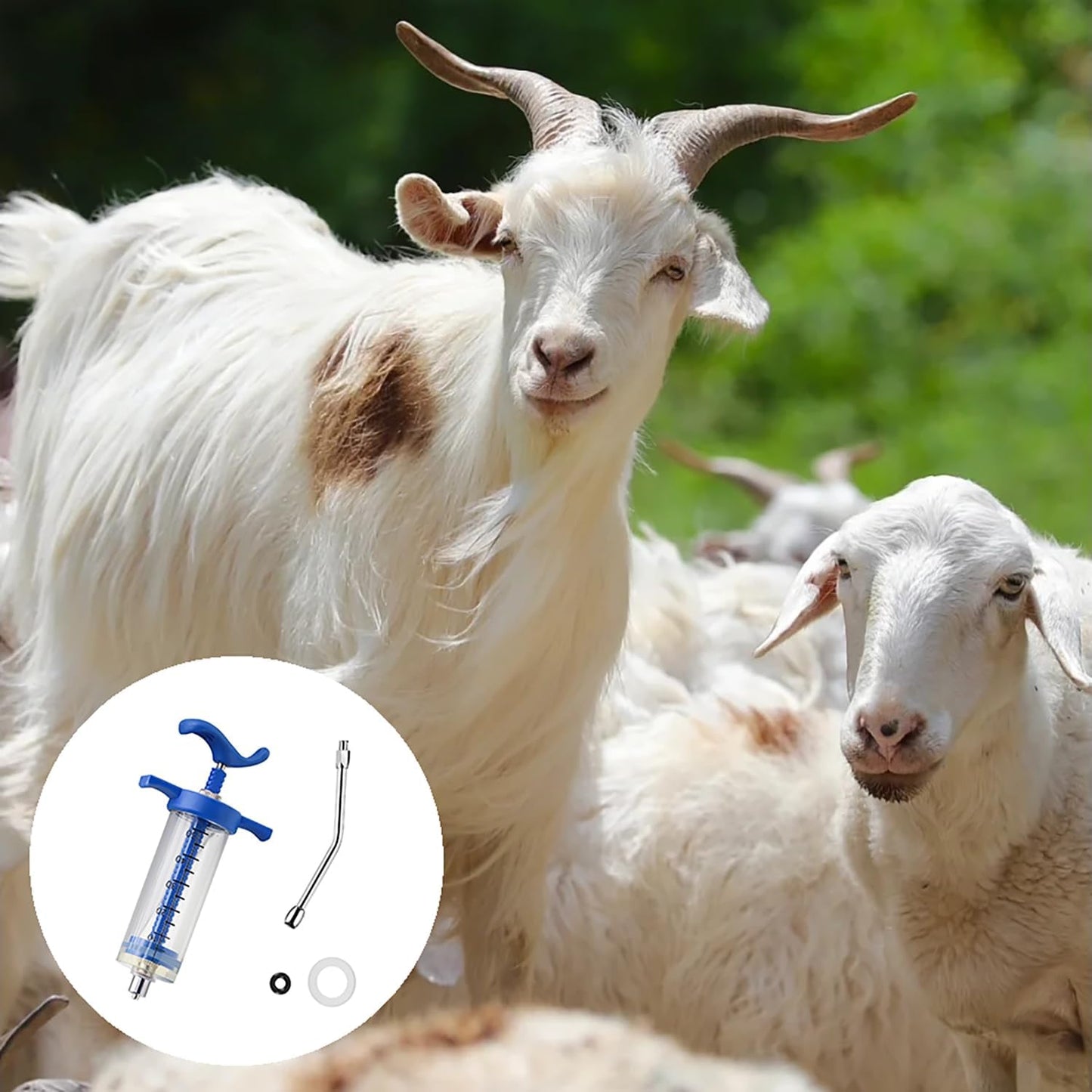 1Pcs Reusable Goats Syringe, Goats Feed water filler, Reusable, Drench Nozzle, for Bird, Cattle, Sheep, Goats, Horse, Pig, Dog Supplies, Pet Water Filler Tool (M-50ML)