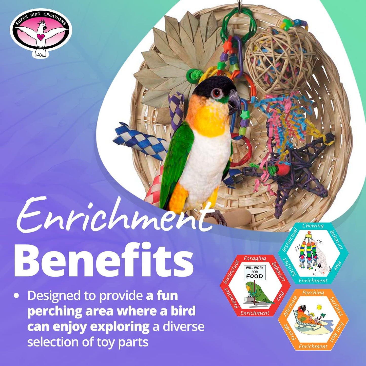 Super Bird Creations SB543 Busy Birdie Play Perch - Foraging Bird Toy, Small & Medium Bird Size - Parakeets, Cockatiels, Small Conures - Interactive Elements - Stimulating Playtime - 9.5" x 9.5" x 6"