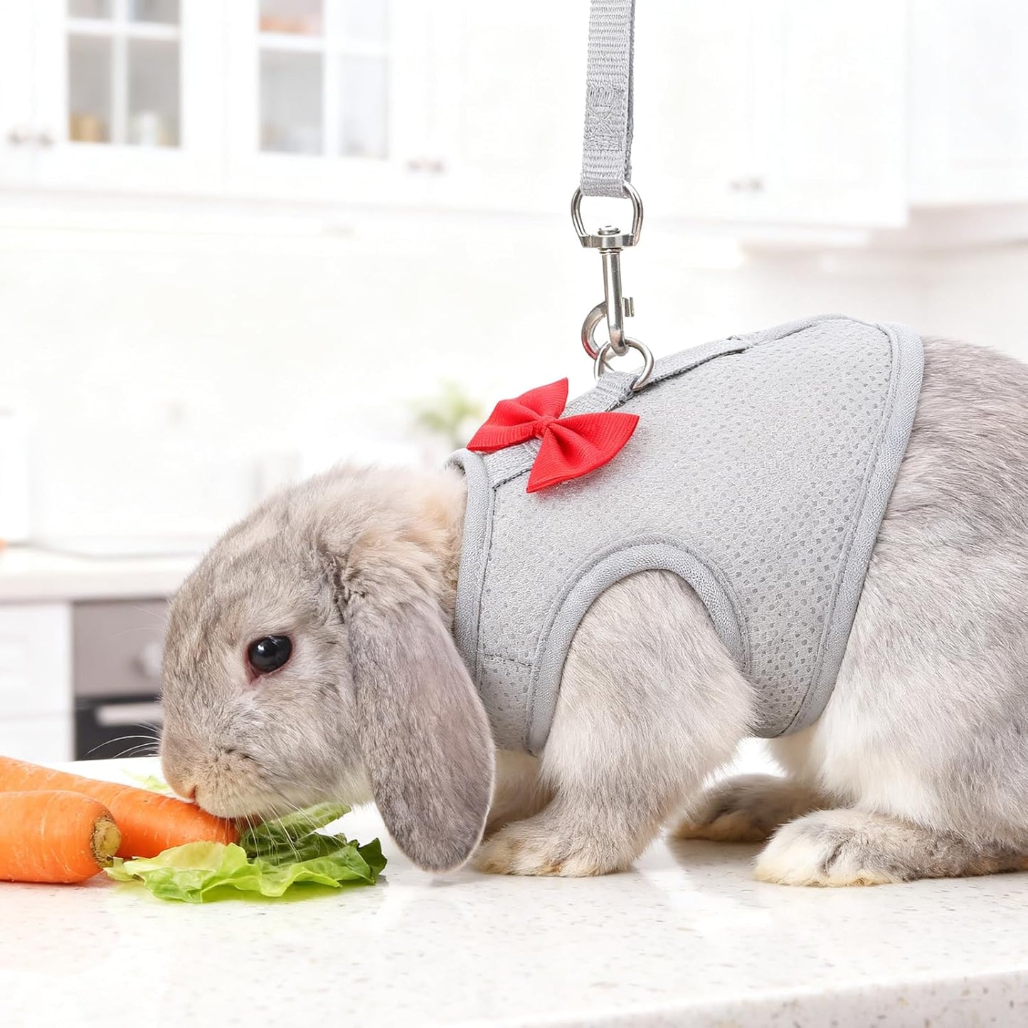 Rabbit Harness and Leash Set with a Cute Bow, Soft Mesh Vest-Style Carrier, Adjustable Rabbit Vest, Suitable for Rabbits, Kittens, Ferrets, Miniature Pigs, and Puppies, Gray Size M