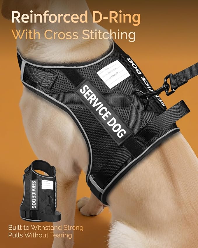 FAYOGOO Service Dog Vest for Large Dogs - Air Mesh Breathble Emotional Support Animal Vest with DIY Removable Patches - Dog Harness and Leash Set Adjustable Neck and Chest(Black,XL)