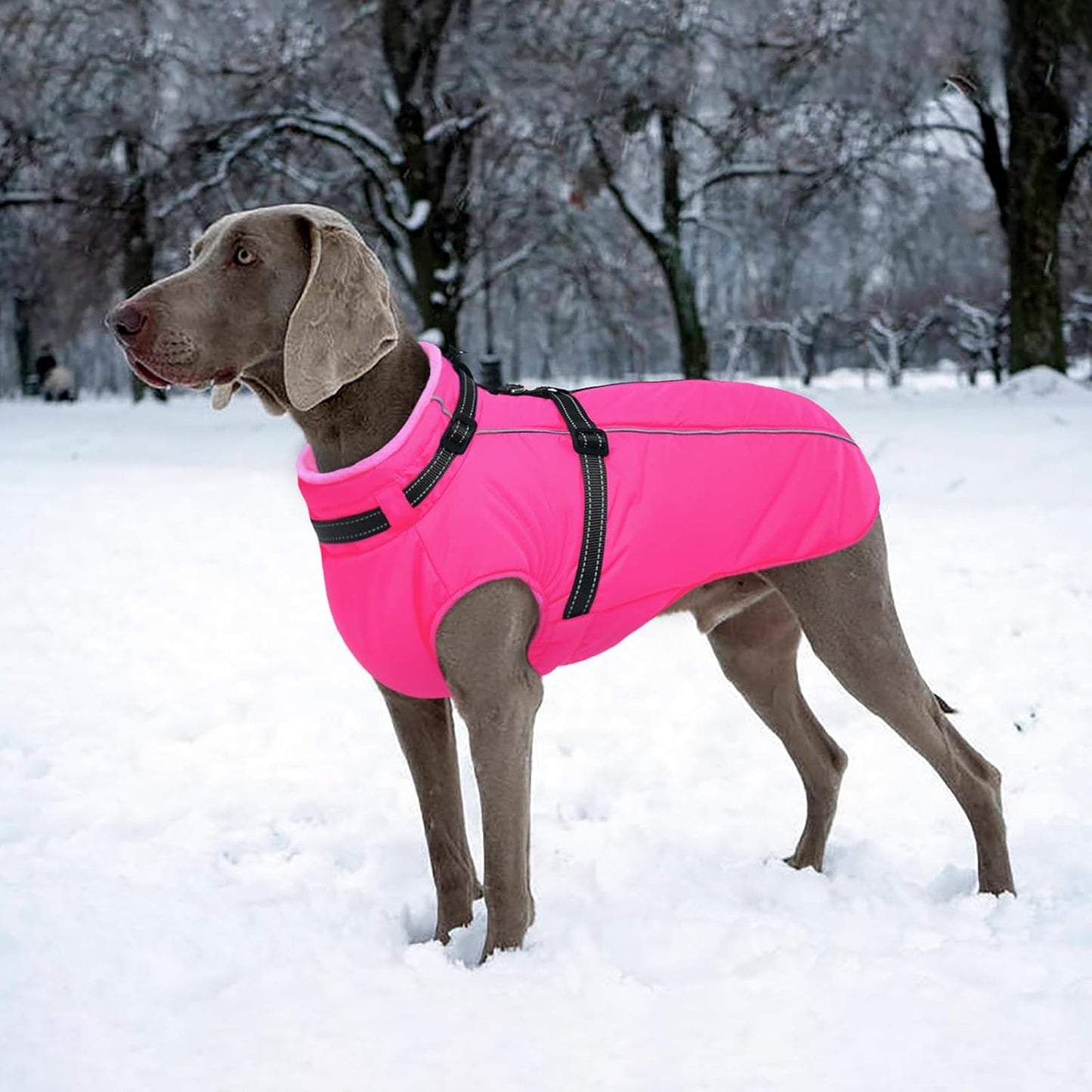 Lelepet Dog Winter Coat Waterproof Dog Jacket with Harness Built in Windproof Reflective Cold Weather Coats for Small Medium Large Dogs, Thermal Fleece Lined Coats for Walking Camping, Maltese, XS