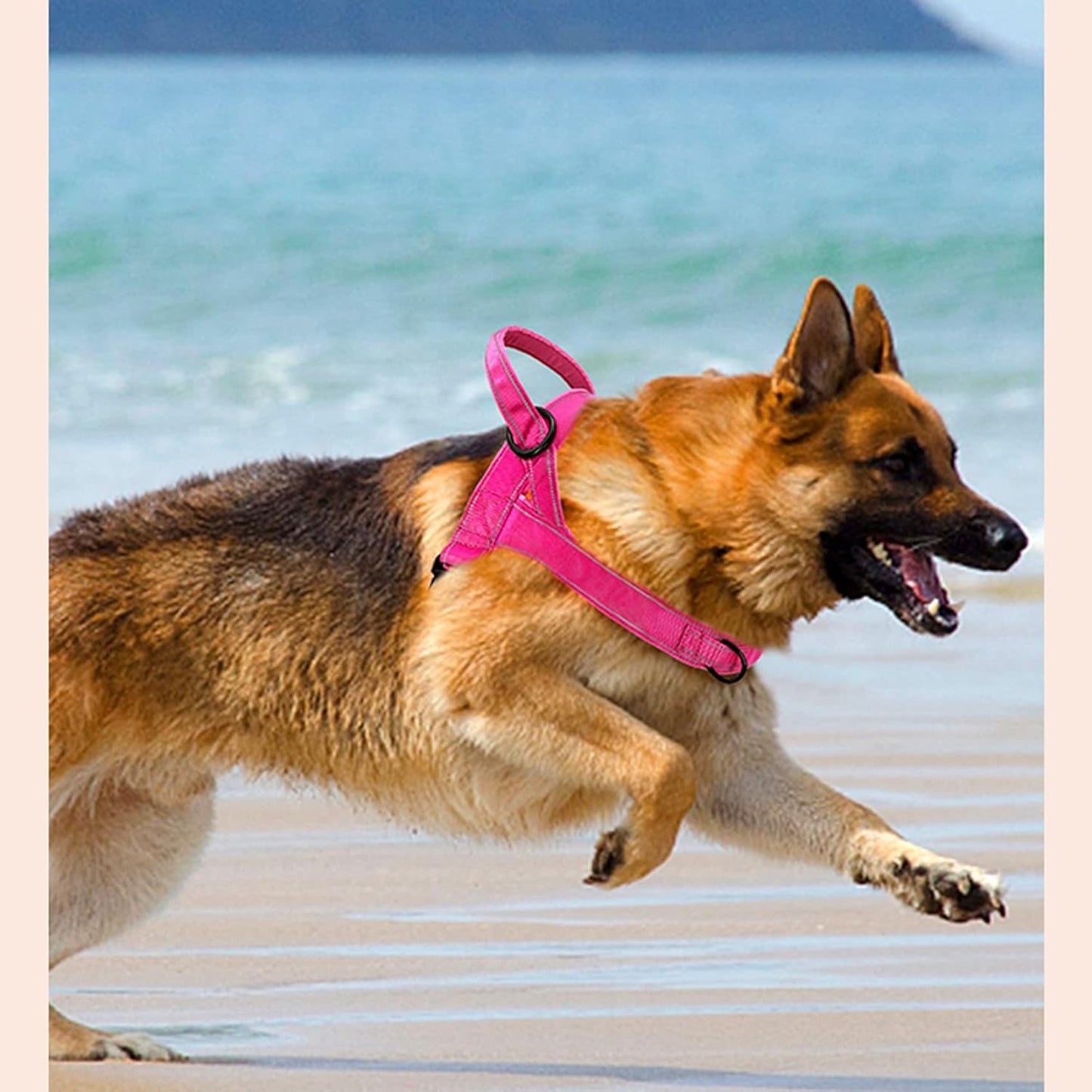 No Pull Dog Harness Pink for Small Medium Large Sized Dog, Reflective Escape Proof Adjustable Dog Harnesses with 2 Patch, S