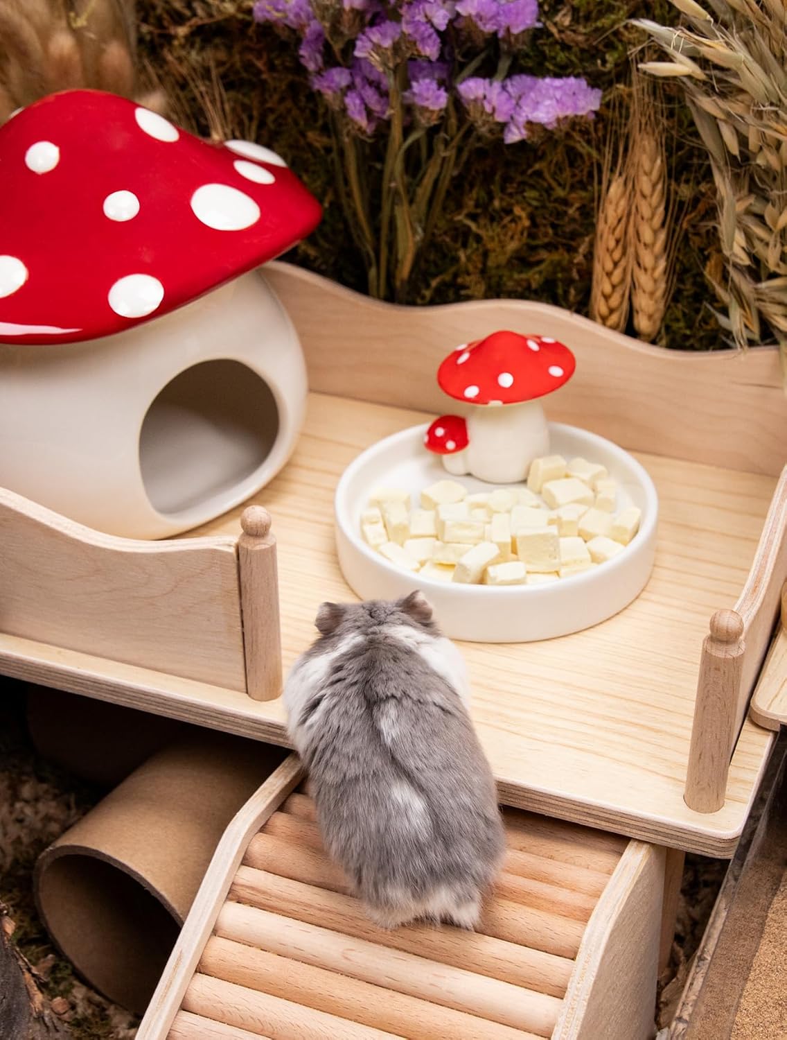 Niteangel Hamster Feeding & Water Bowls- Mushroom Ceramics Series Food Dish Feeding Bowls for Dwarf Syrian Hamsters Gerbils Mice Rats or Other Similar-Sized Small Pets (Feeding Bowl)