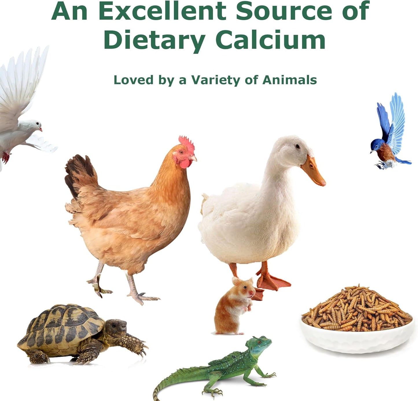 Dried Black Soldier Fly Larvae for Chickens - Non-GMO Poultry Feed Supplement, 85X More Calcium Than Mealworms,High-Protein Treats for Chickens, Hens, Ducks 5LB
