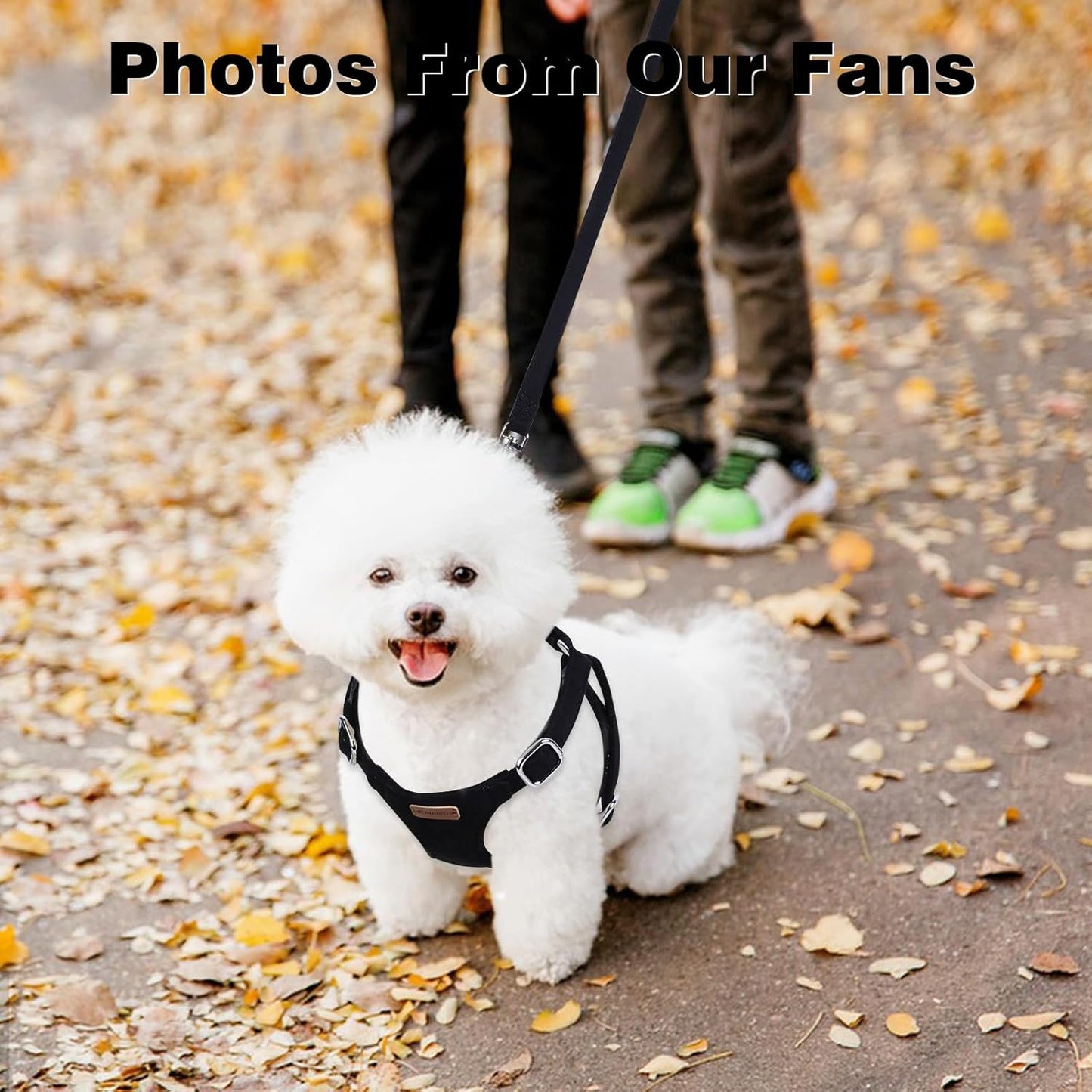 Dog Harness and Leash Set, XXS No Pull Adjustable Puppy Harness with Multifunction Pink Dog Leash and Dog Collar, Soft No Choke Escape Proof Pet Harness Vest for Small Dogs and Cats (Black, XS)