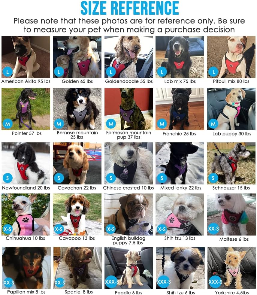 Lukovee Dog Seat Belt for Car, Adjustable Dog Car Harness for Large Medium Small Dogs, Soft Padded & Breathable Mesh Dog Seatbelt with Car Vehicle Connector Strap (Blue Double Clip,Small)