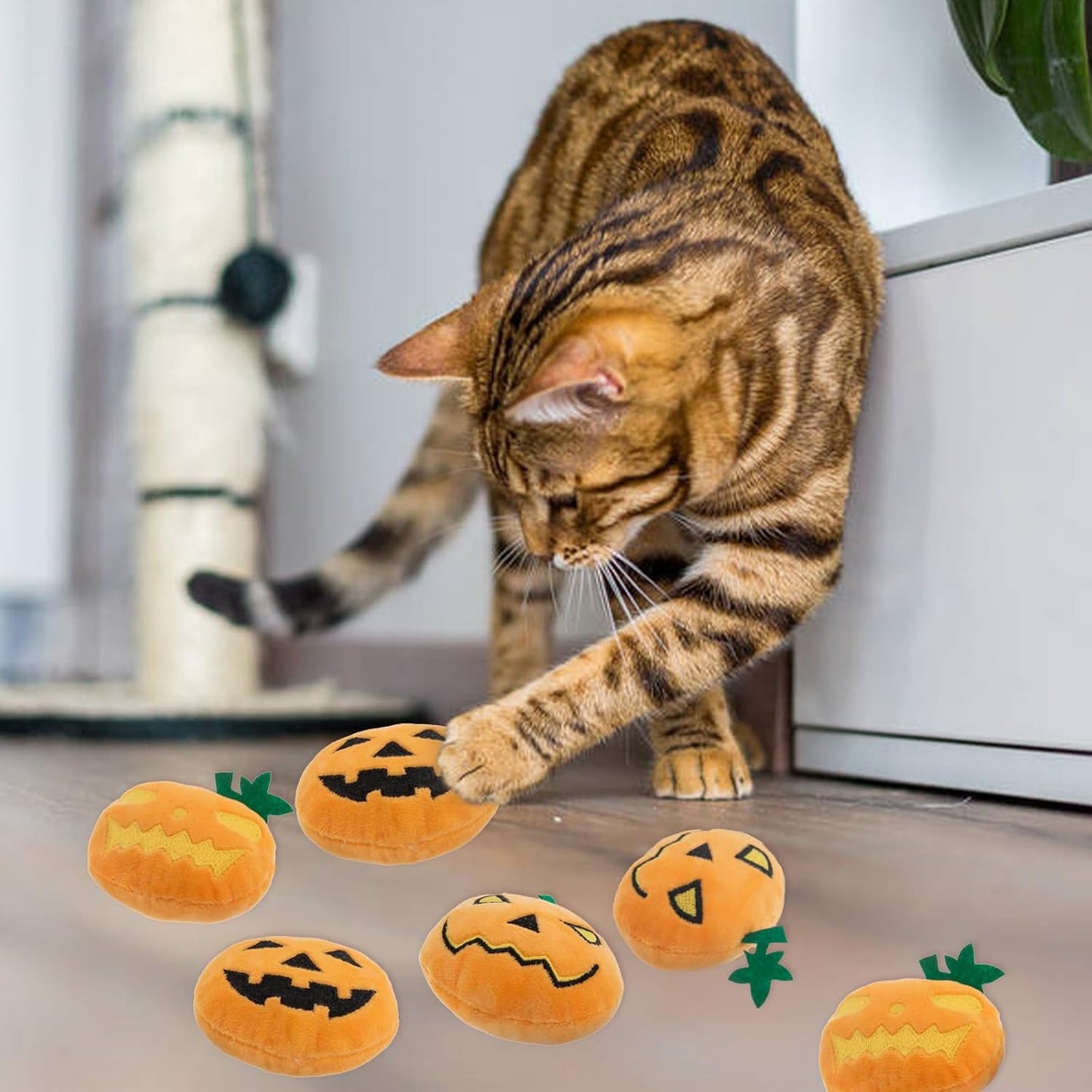 6pcs Halloween Pumpkin Catnip Toy,Hallowen Indoor Pumpkin Shaped Cat Toy Plush Interactive Chew Bite Toys for Cat Kitten Indoor Festive Holiday Cat Lover Gift