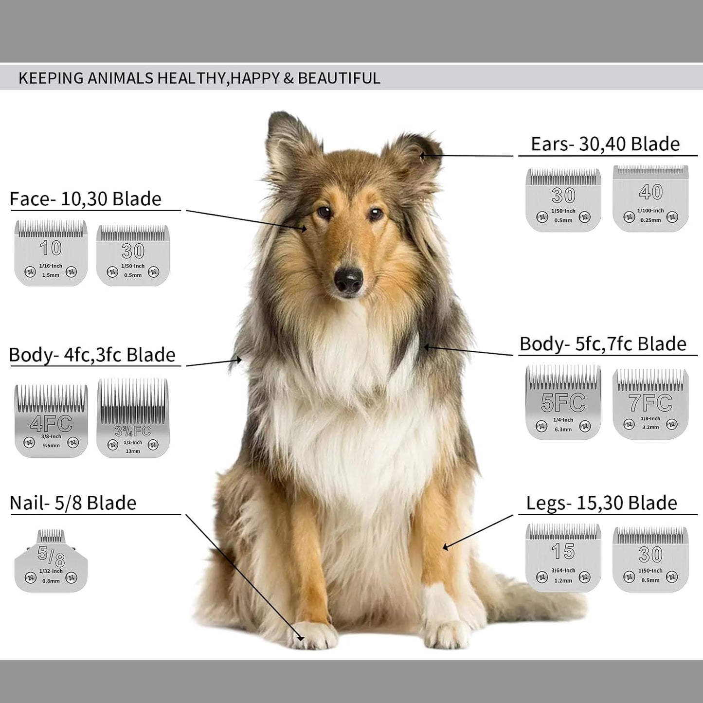 Size 40+10+30+15+7FC+5FC+4FC+3FC+5/8HT+3/4HT+T84+T10+5/8N Toe Blade kit,Pet Dog Grooming Clipper Stainless Steel Blade,Compatible with Andis/Oster A5,Wahl KM10 Series Clippers,13 Pack