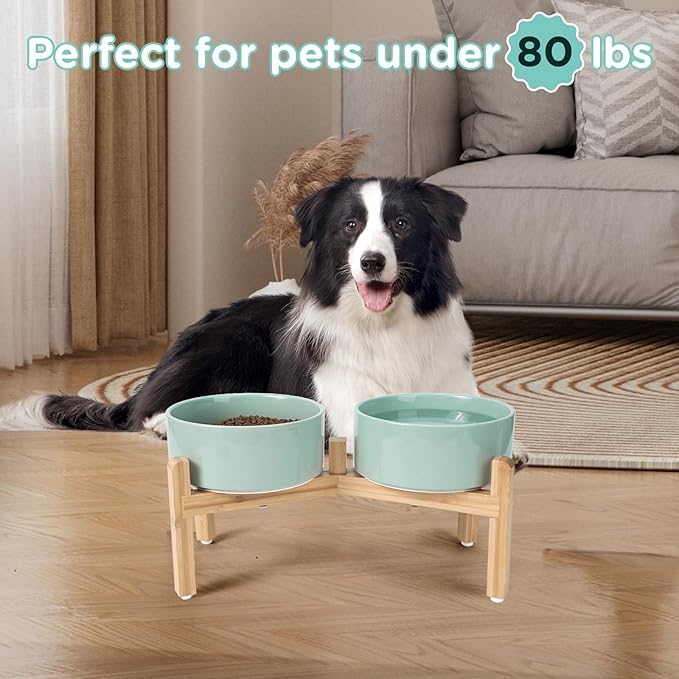 SPUNKYJUNKY Elevated Dog Bowls Ceramic, 7.3'' Dogs Food Water Bowls Raised with Non-Slip Bamboo Stand for Medium to Large Sized Breed Microwave Dishwasher Safe - 42 OZ,Light Green