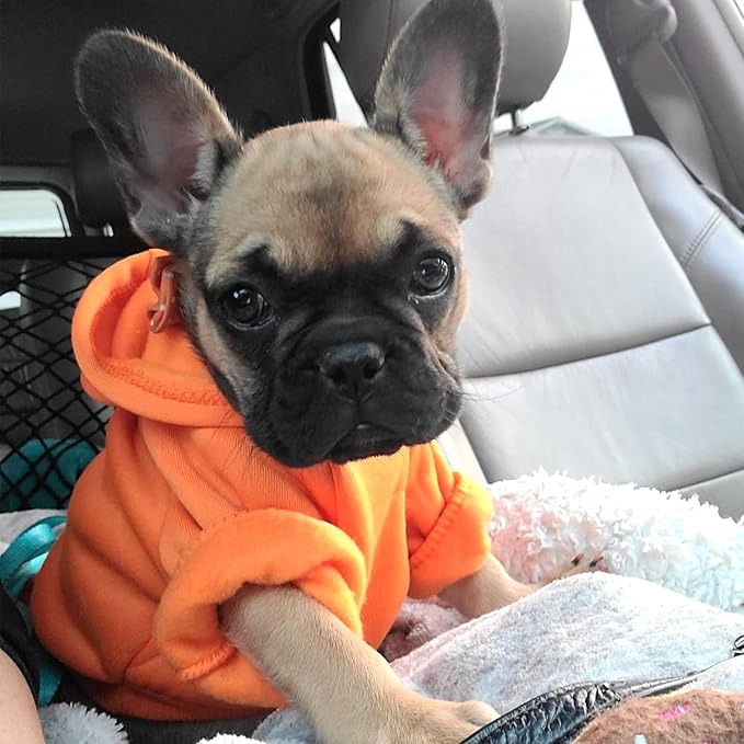 Jecikelon Winter Dog Hoodie Sweatshirts with Pockets Warm Dog Clothes for Small Dogs Chihuahua Coat Clothing Puppy Cat Custume (Orange, X-Large)