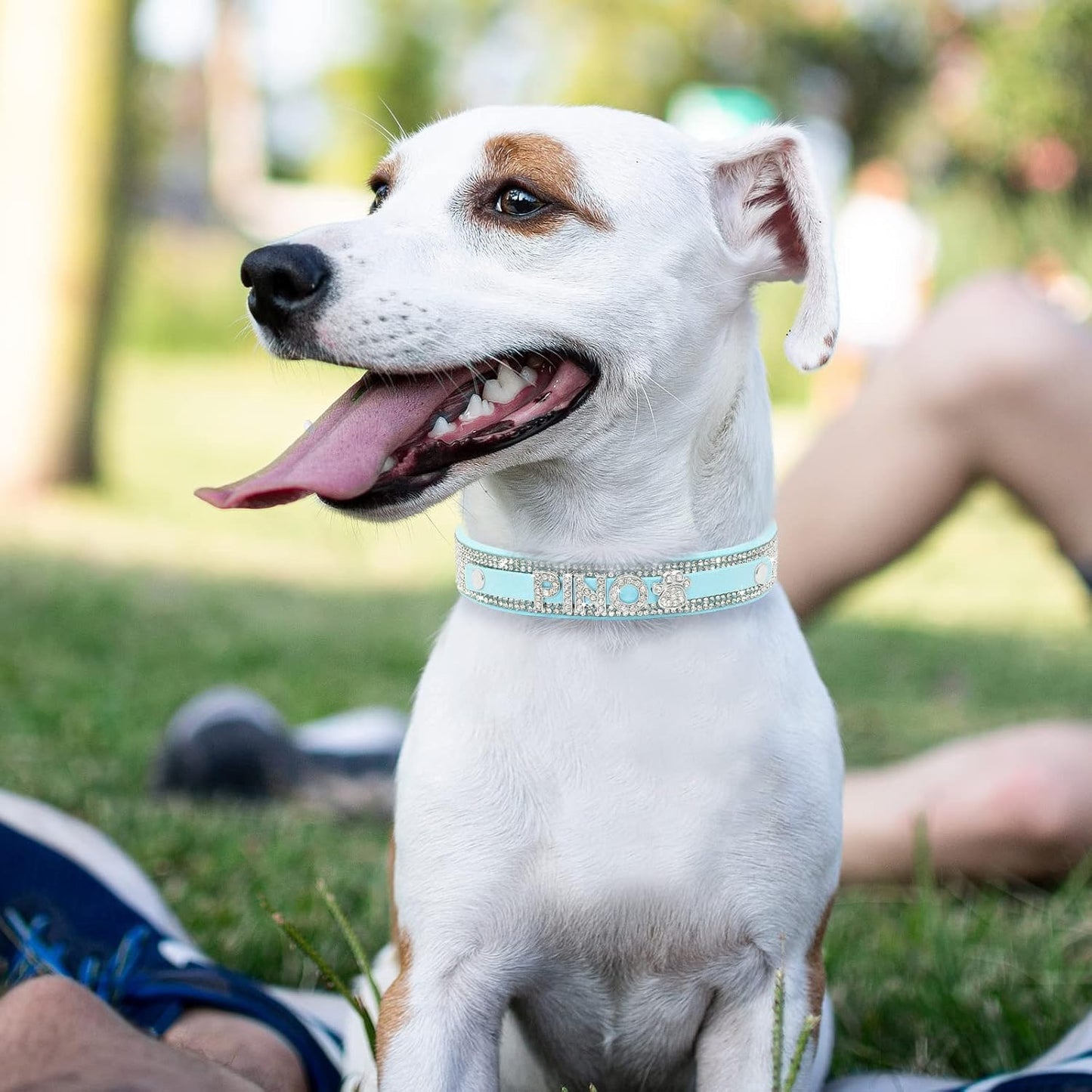 Crystal Dog Collar Personalized with Bling Name,Custom Sparkling Rhinestones Dog Collar for Small Medium Large Dog (S,Blue)