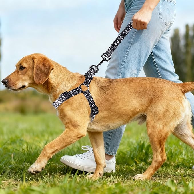 QQPETS Dog Harness Leash Set Adjustable Heavy Duty No Pull Halter Harnesses for Small Medium Large Breed Dogs Back Clip Anti-Twist Perfect for Walking