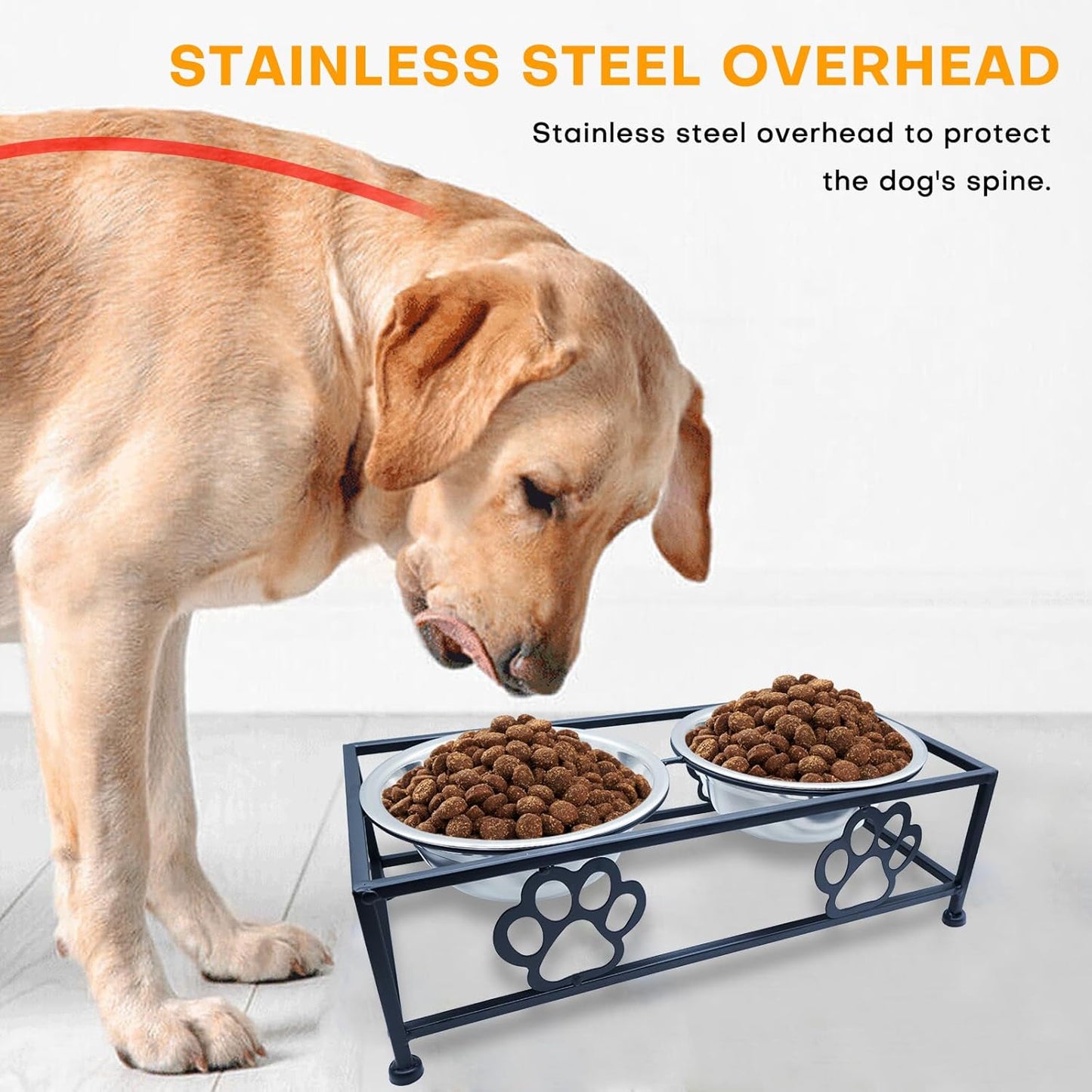 Elevated Dog & Cat Bowls with Stand – Raised Pet Feeder for Small Dogs & Cats, Stainless Steel Dog Food Bowls Elevated, Cat Food Bowl Stand, Elevated Cat Feeding Station (Black)