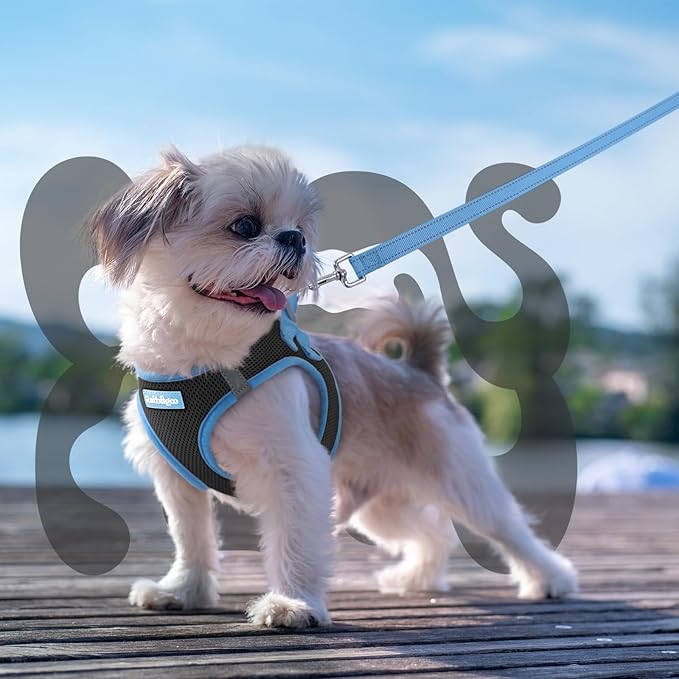 rabbitgoo Dog Harness Small Sized and Leash Set, Step-in Breathable Pet Harness, Soft Walking Reflective Puppy Vest for Small Dogs, Black & Light Blue, S