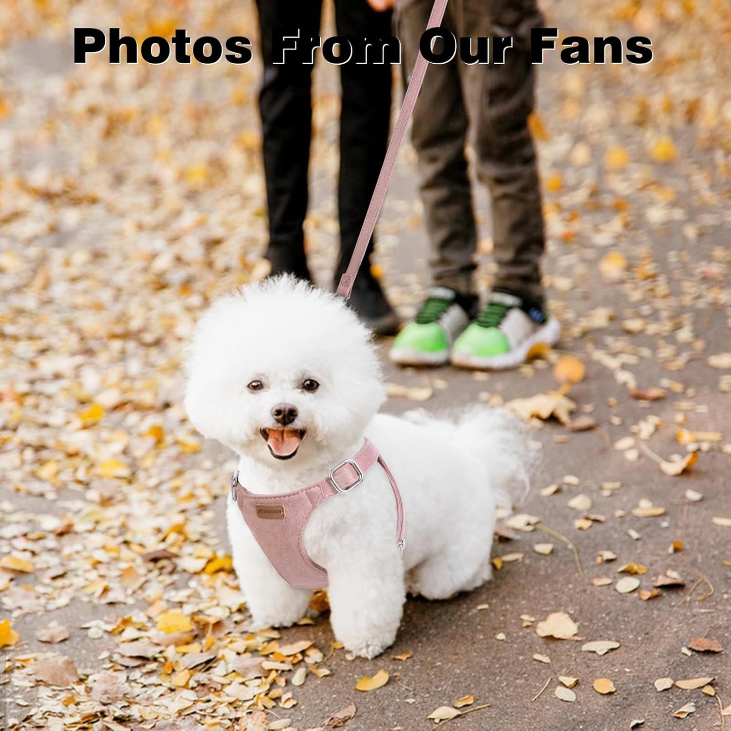 Dog Harness and Leash Set, XXS No Pull Adjustable Puppy Harness with Multifunction Pink Dog Leash and Dog Collar, Soft No Choke Escape Proof Pet Harness Vest for Small Dogs and Cats (Pink, XS)