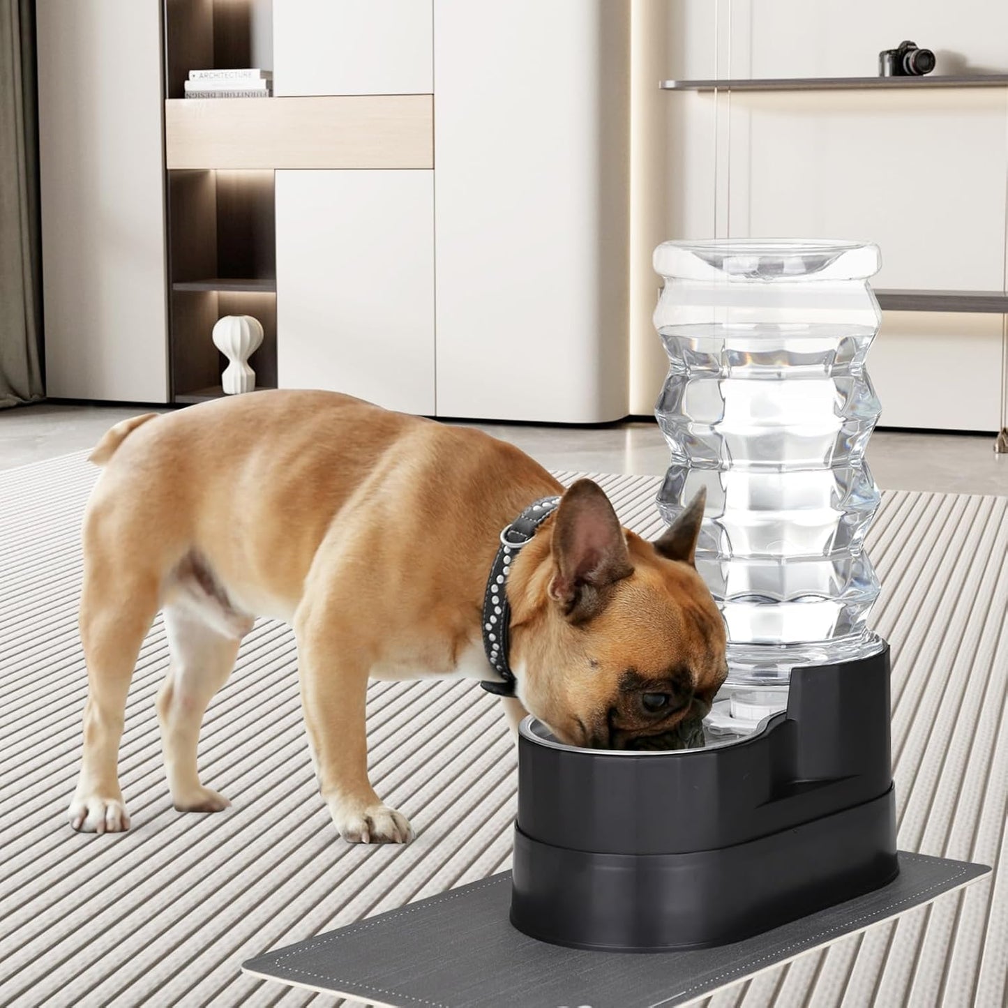 RIZZARI Large Water Dispenser for Dogs: 8L Gravity Black Automatic Stainless Steel Waterer - Raised Pet Feeder for Friendly Senior Medium to Large-Sized Dogs - Good for Spine - in Bedroom Garden