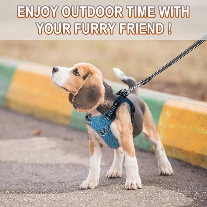 BARKBAY Dog Harness, Reflective Adjustable Step-in Vest Harness, Blue/Black, XXS