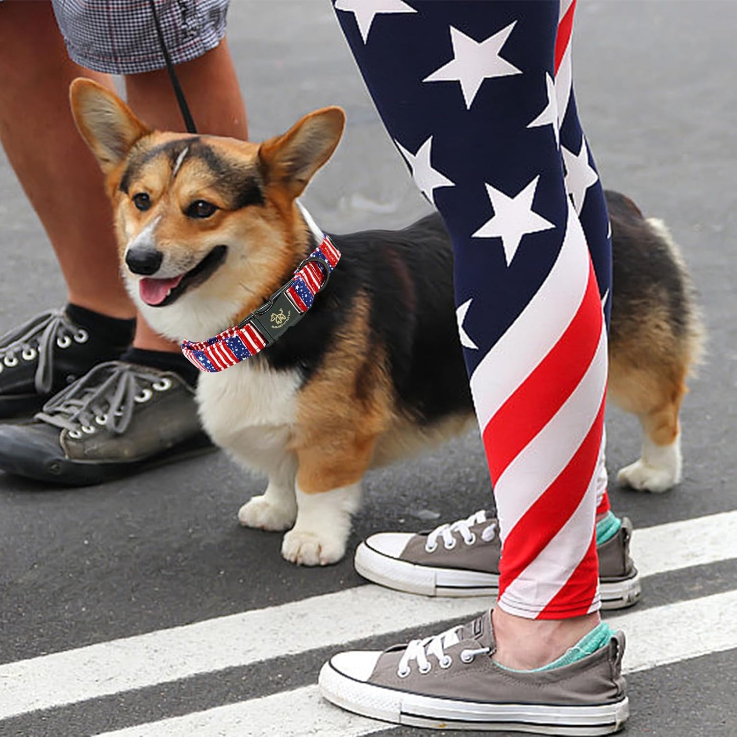 Elegant little tail Independence Dog Collar, Holiday Pet Collar Patriotic Dog Durable Dog Collars Girl or Boy Soft Pet Gift Adjustable Dog Collar for Small Medium Large Dogs