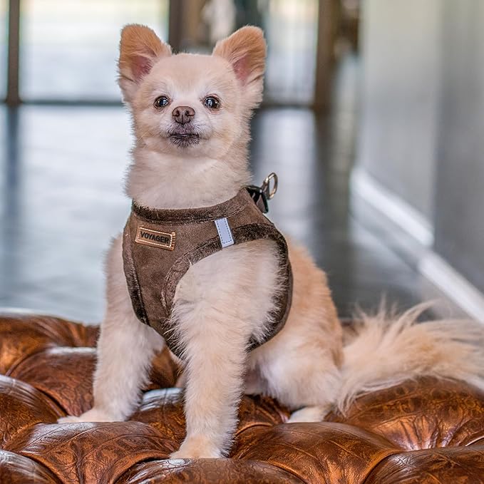 Best Pet Supplies - All Weather Mesh/Plush, Reflective, No Pull Harness for Small, Medium Dogs, Cats - Secure with Hook & Loop Fastener, Buckle, Double D-Rings - Chocolate Suede, M