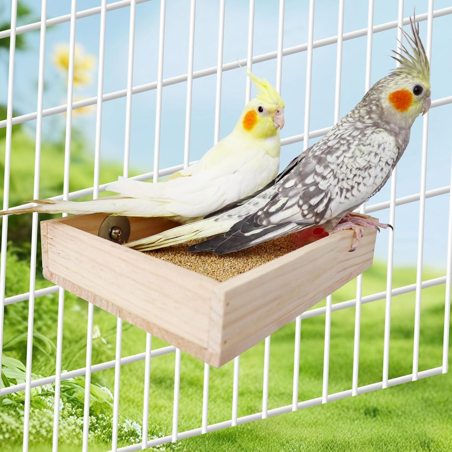 Bird Cage Accessories, Wooden Food Dish for Small to Medium Birds, Bird Feeder for Cage, Bird Food Bowl for Budgie, Cockatiel, Lovebird, Conure, Parakeet, Canary, Kakariki