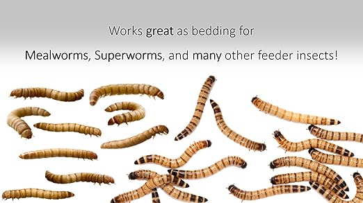 Wheat Bran Bedding & Gutload for Mealworms, Superworms, and Feeder Insects – 10 lb (160 oz) by Five-Star Feeders
