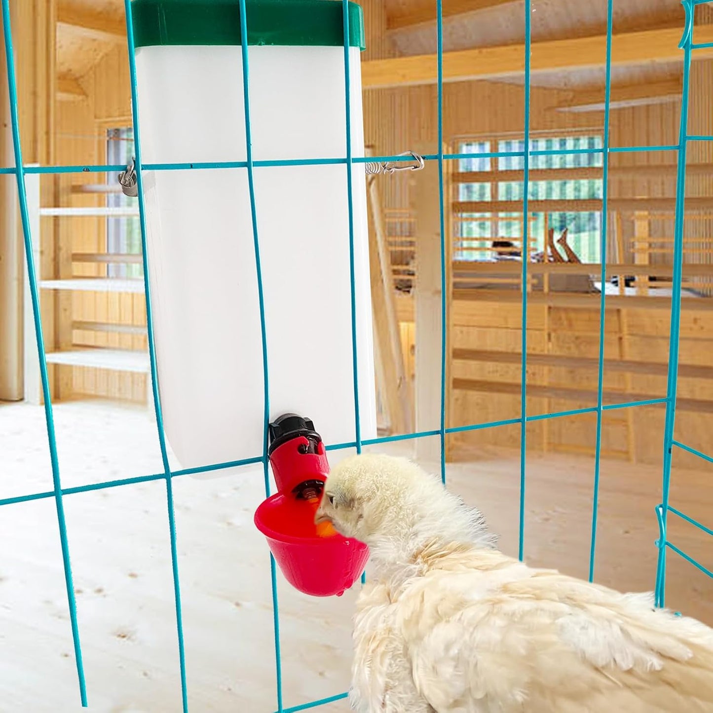 2pcs Automatic Drinker System Chick Water Cups 1L Hanging Automatic Fill Chick Cup Drinker Waterer Used for Cages