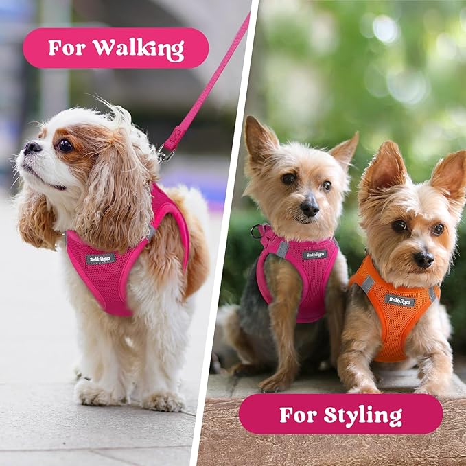 rabbitgoo Small Dog Harness, Step-in Soft Mesh Puppy Vest with Safety Buckle, Breathable Reflective Pet Harness for Extra Small Dogs, Rose Red XXXS