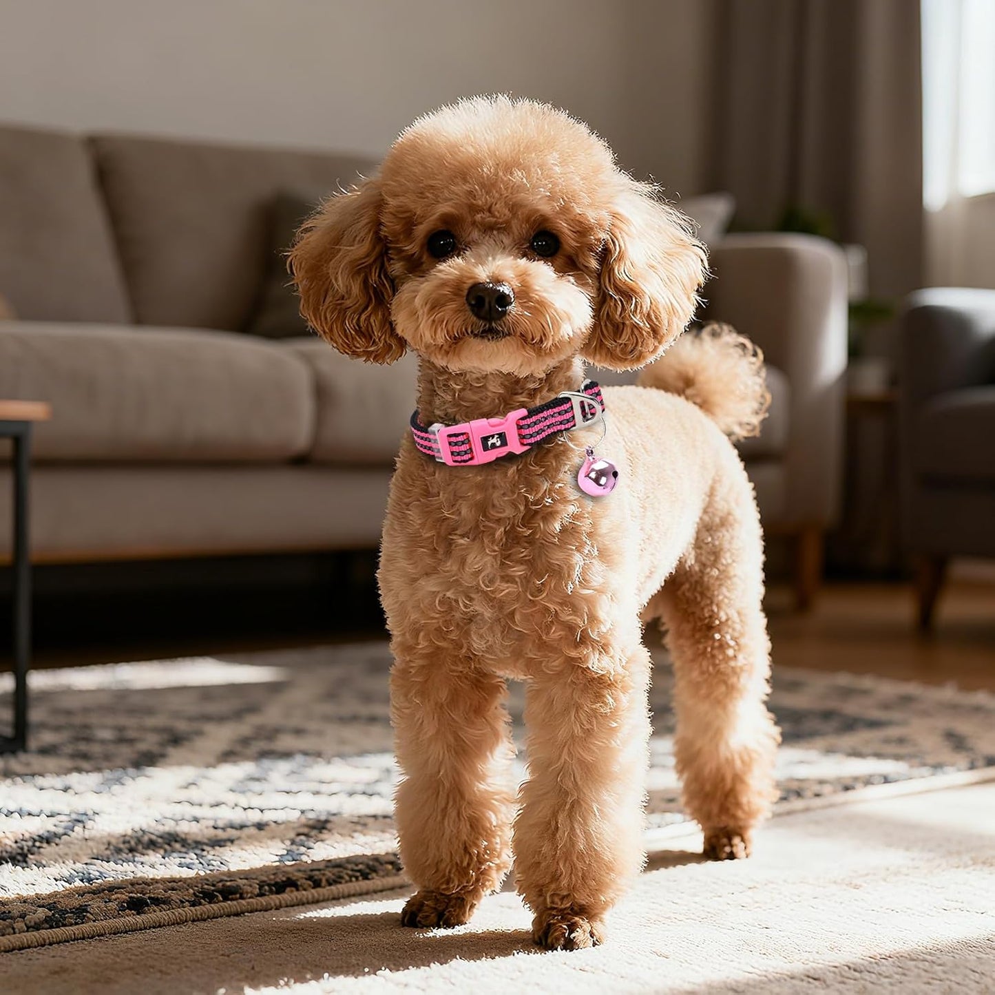 Puppy Collar with Bell Reflective - Adjustable Tiny XS XXS Breed Collar for Girl Female,Night Walk Safety Accessory(Pink XS)