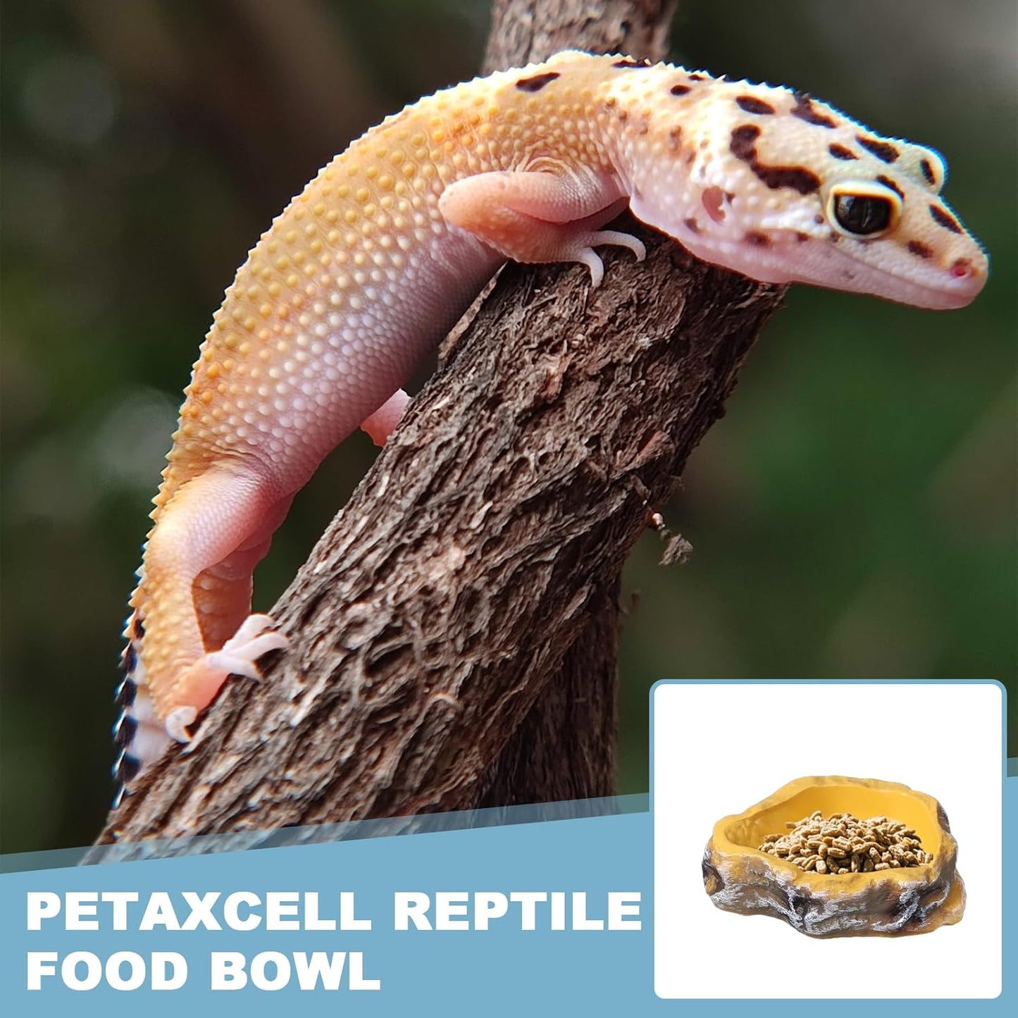 Reptile Food Bowl, Reptile Feeding Dish Corner Bowl Water Resin Rock Worm Feeder Dish S (5 in, Yellow), Intended for Lizards/o/Scaled Pet/Leopard o/Spiders