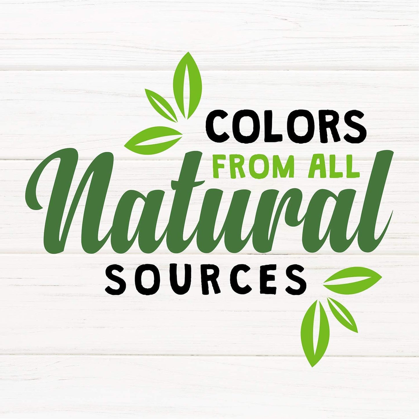 Sunseed Vita Prima Wholesome Nutrition Conure Food, 3 LBS, (Model: 59761)