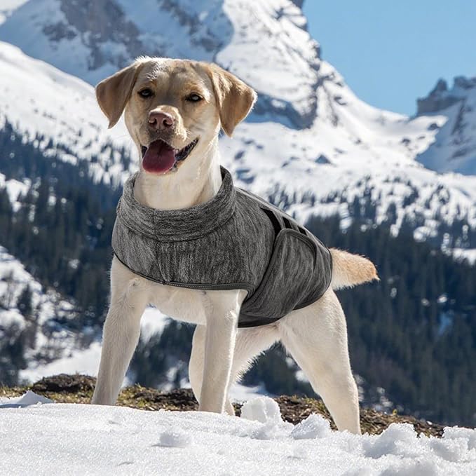 Queenmore Small Dog Sweaters, Soft Fleece Vest Pullover Dog Jacket with Leash Hole, Warm Winter Dogs Clothes Cold Weather Doggy Dachshund Sweater for Small Dogs Cats Boy or Girl (Cationic Gray, XS)