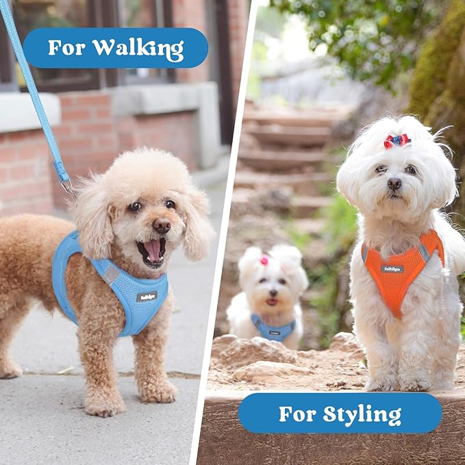 rabbitgoo Small Dog Harness, Step-in Soft Mesh Puppy Vest with Safety Buckle, Breathable Reflective Pet Harness for Small Sized Dogs, Blue M