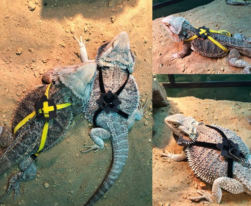 Adjustable Reptile Lizard Harness Leash,Turtle Lizard Pet Traction Belt Bearded Dragon Accessories Soft Small Pet Animal Harness Rope,1.2M (Pink)