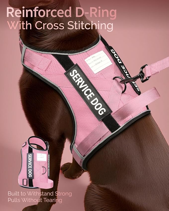 FAYOGOO Service Dog Vest for Large Dogs - Air Mesh Breathble Emotional Support Animal Vest with DIY Removable Patches - Dog Harness and Leash Set Adjustable Neck and Chest(Pink,XL)