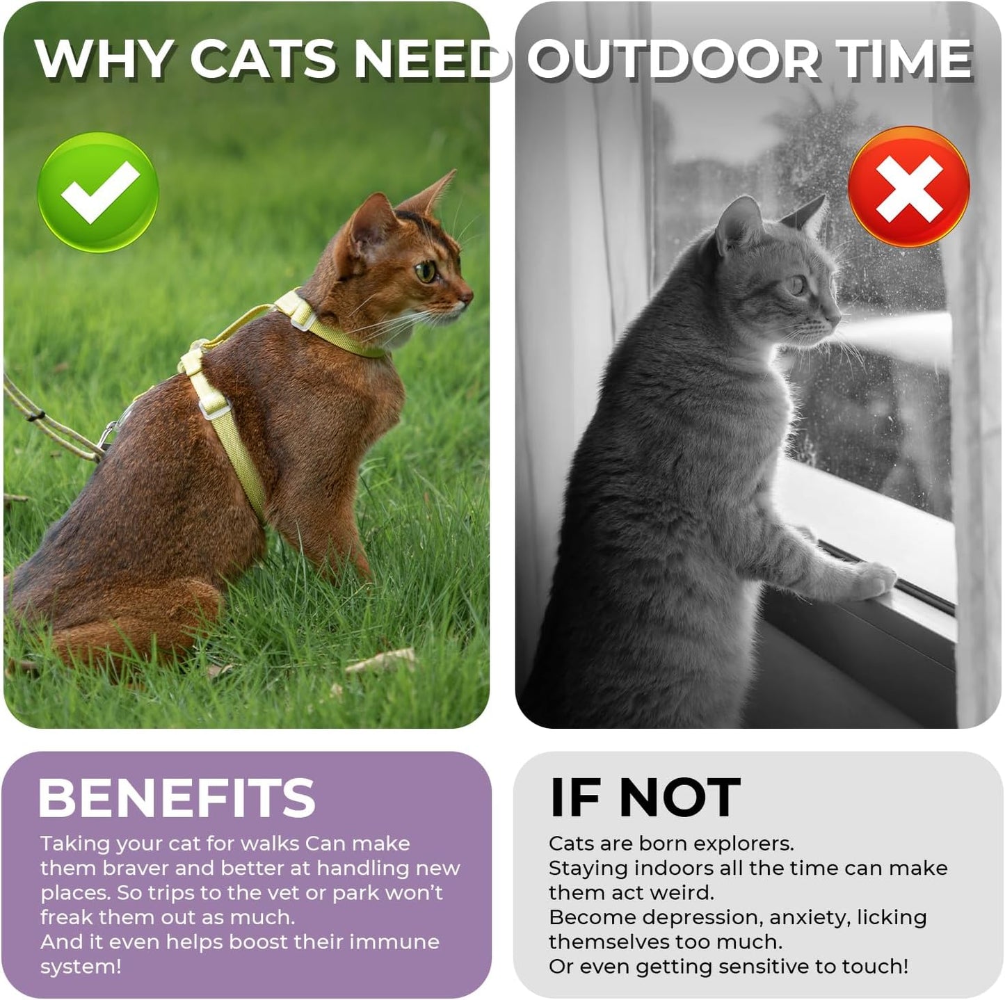 Cat Harness and Leash Set - White Lightweight Soft Kitten Harness Escape Proof, Adjustable Travel Pet Harness for Walking,Easy Control Comfortable Outdoor (White, One Size Fits All)