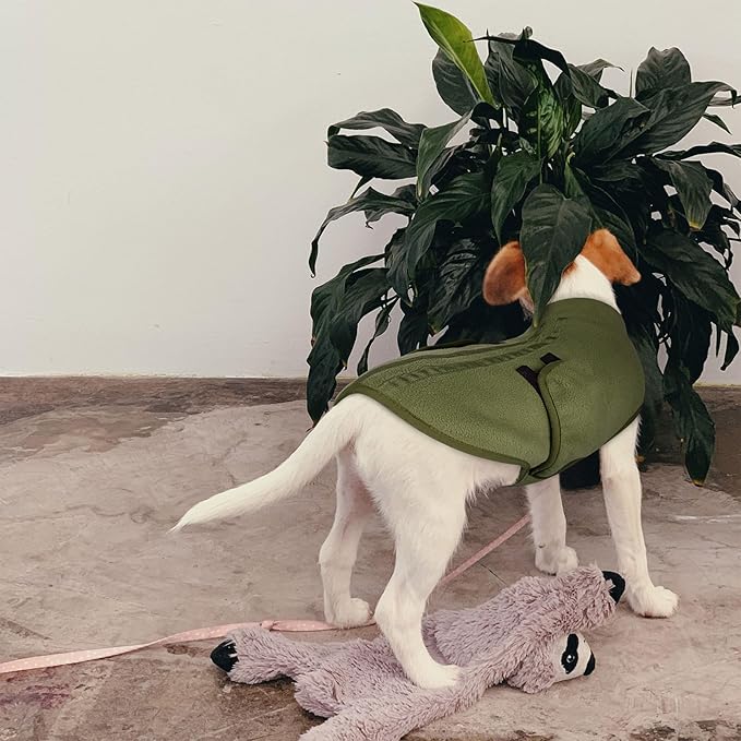 Queenmore XL Dog Sweaters, Soft Fleece Vest Pullover Dog Jacket with Leash Hole, Warm Winter Dogs Clothes Cold Weather Doggy Dachshund Sweater for Large Dogs Cats Boy or Girl (Army Green, XL)