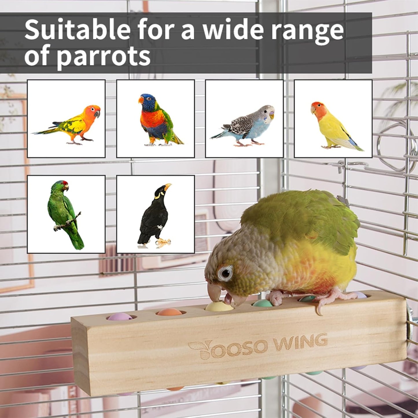 Bird Toys & Bird Perch, Bird Wooden Block Chewing Toy Parrot Foraging & Puzzle Toys Bird Cage Accessories for Conures Parakeets Cockatiels Lovebirds African Grey Macaws (Spinning Ball)