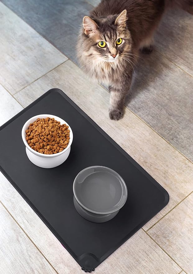 LoeJan Elevated Cat Food Bowl, 5 Oz Ceramic Raised and Tilted Water Bowl, Anti Vomiting and Protect Pets' Spines Dishes for Small Dog, Fat Faced Cat, Kitten (White & Grey)