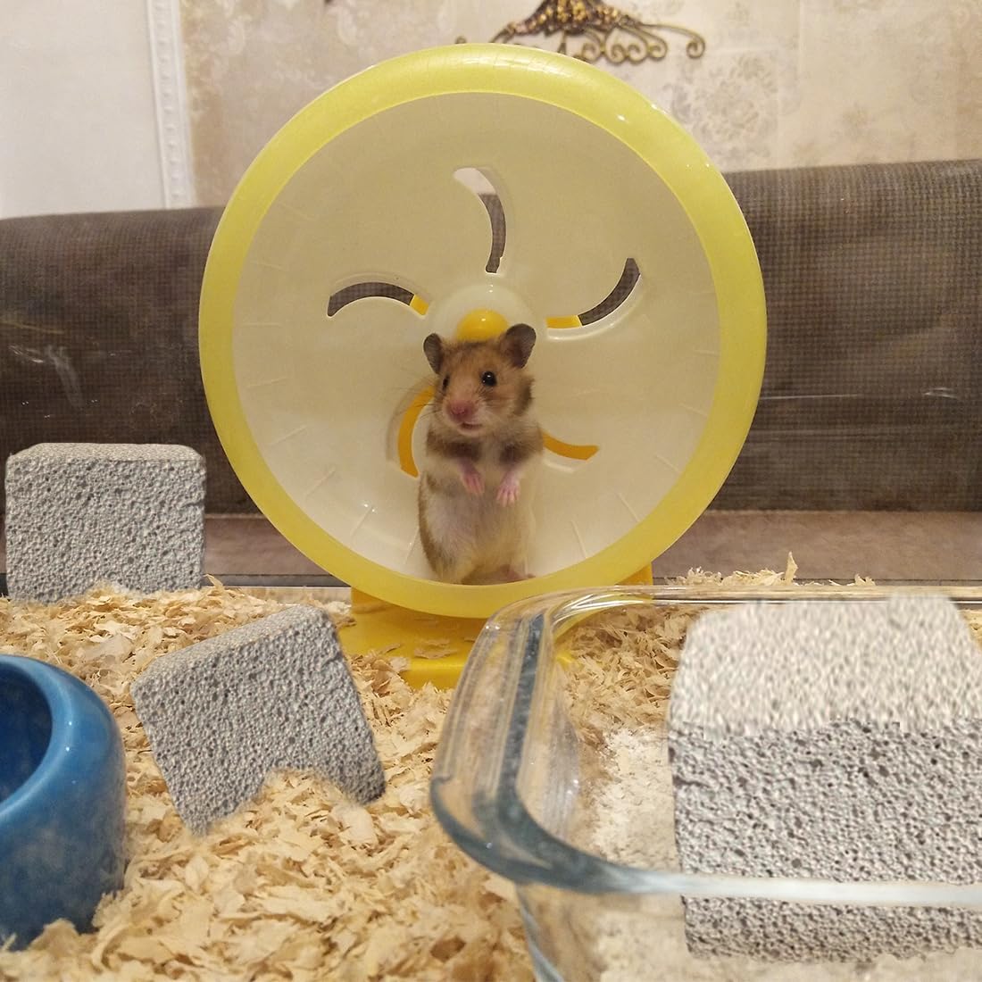 PINVNBY 9 Pcs Lava Blocks for Chinchillas,Hamster Chew Stones Square Mineral Calcium Bunny Teeth Pumice Grinding Chew Toys for Guinea Pig Rat Rodent