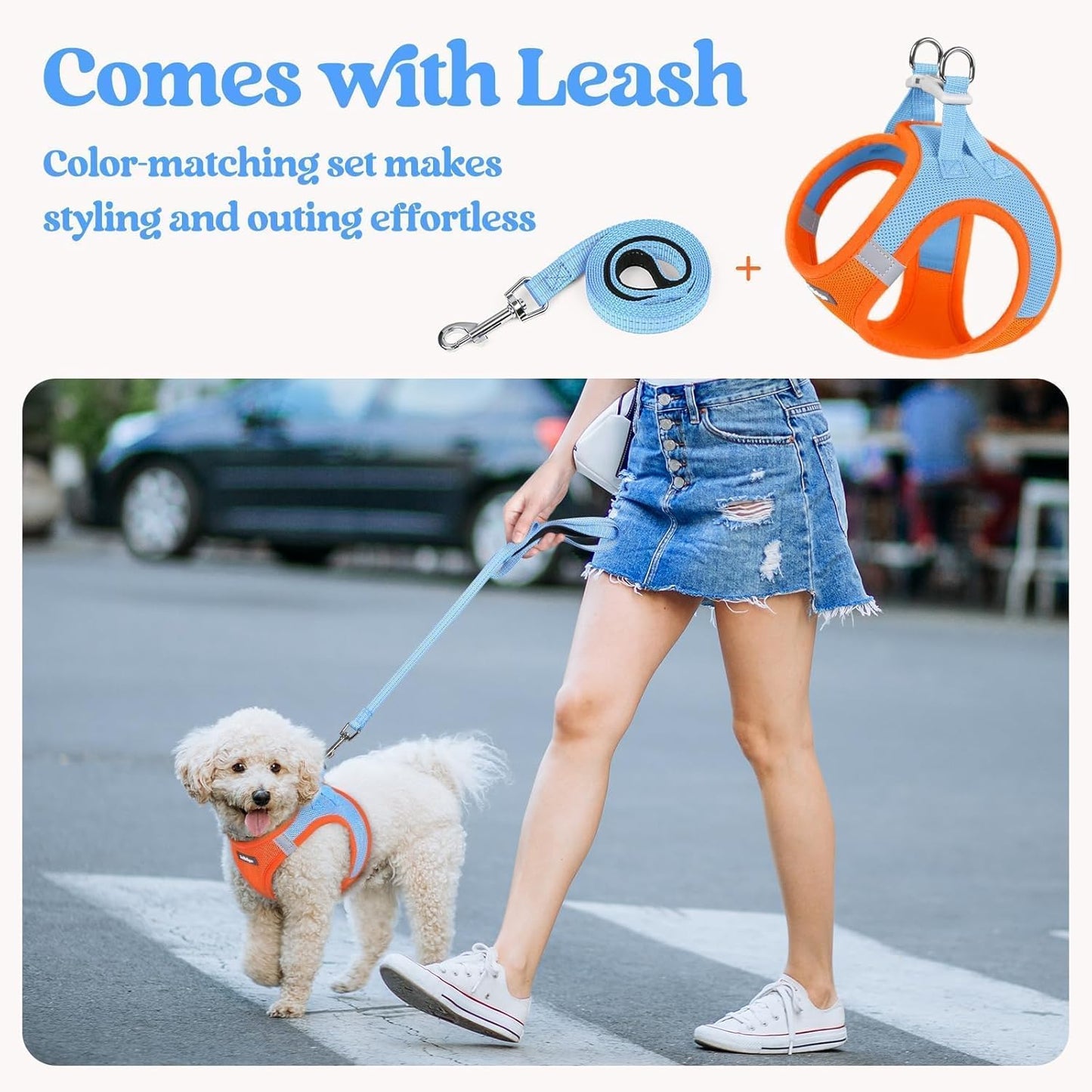 rabbitgoo Dog Harness Small Sized and Leash Set, Step in Soft Light Puppy Vest, Breathable Mesh Pet Harness, Reflective for Safe Easy Walking, Blue & Orange S