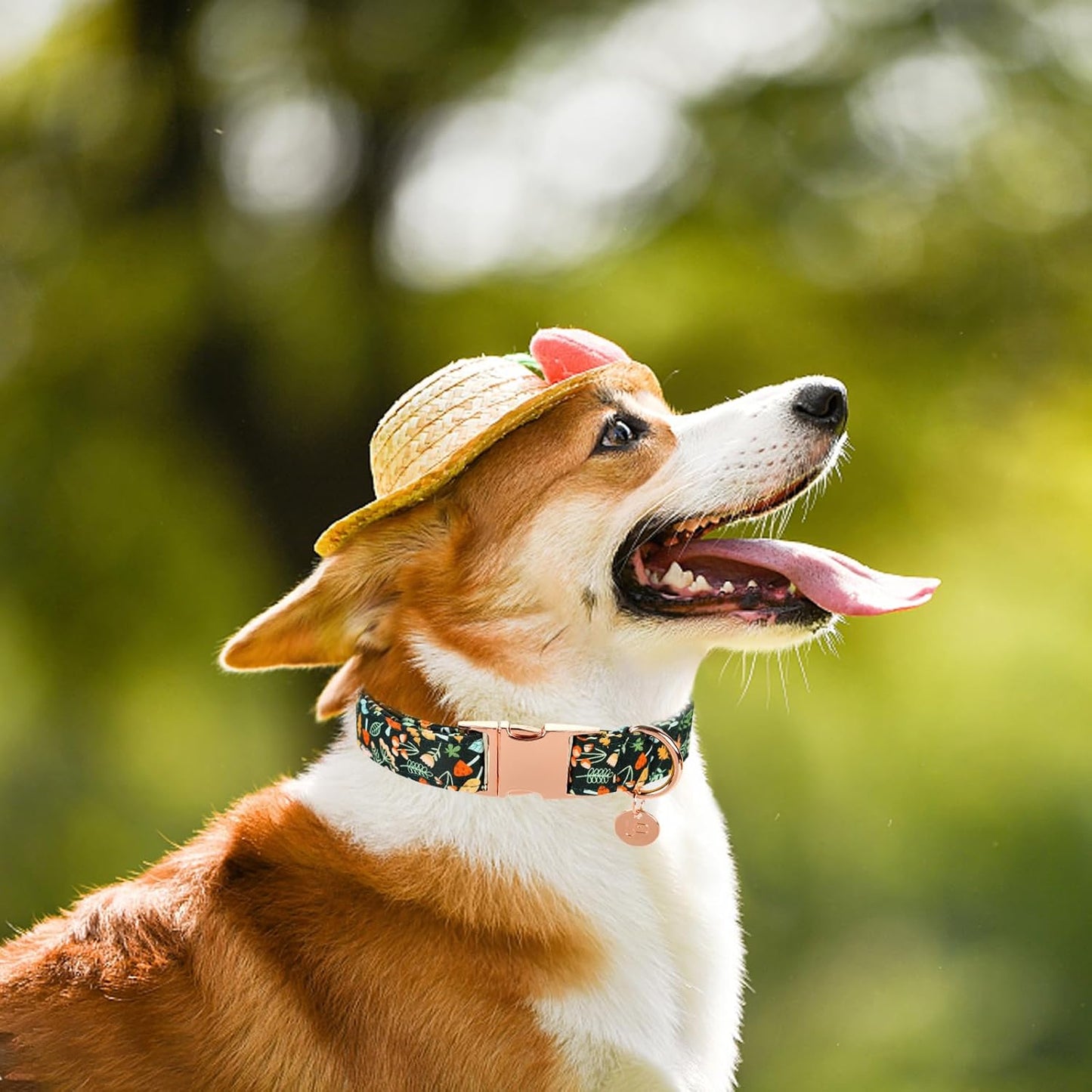 Daisy Fall Cotton Dog Collar with Metal Buckle Gift Autumn Collar for Small Medium Large Girls or Boys Dogs Cute Durable Comfortable Pet Collars