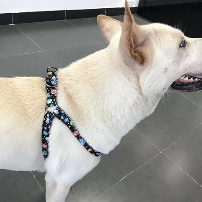 QQPETS Dog Harness Leash Set Adjustable Heavy Duty No Pull Halter Harnesses for Small Medium Large Breed Dogs Back Clip Anti-Twist Perfect for Walking (XS(12"-18" Chest Girth), Space)